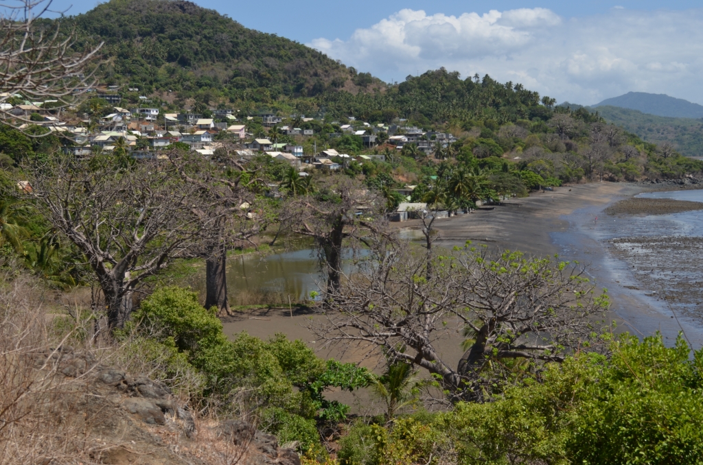 Adansonia digitata_AD_17-10-2014 19-54-09_M'Tsamoudou_5