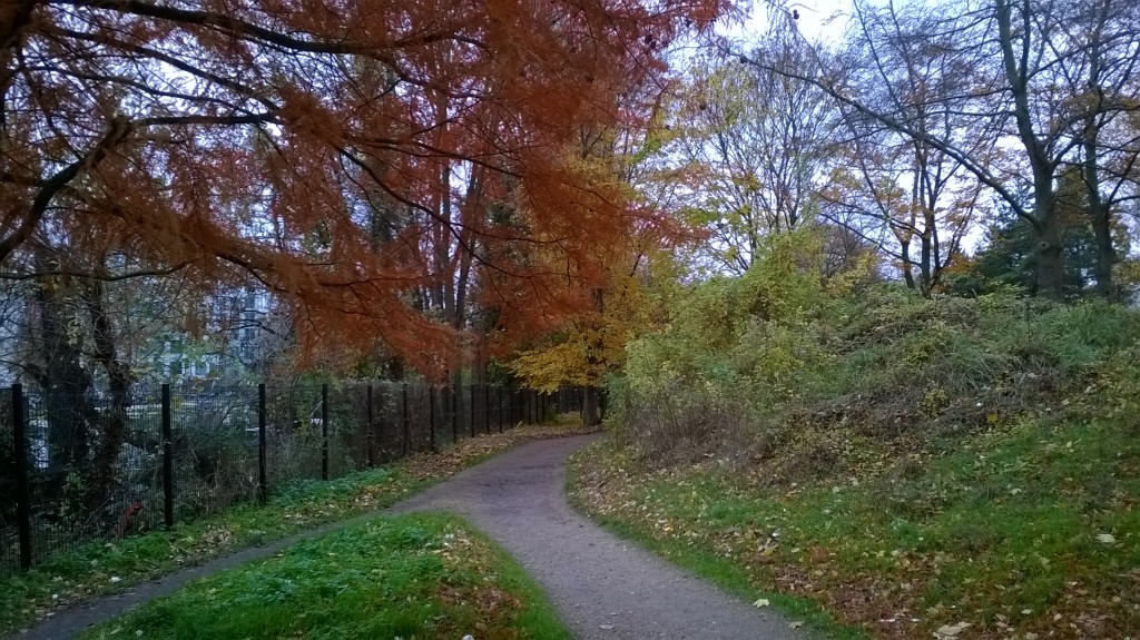 Automne au parc St Germain